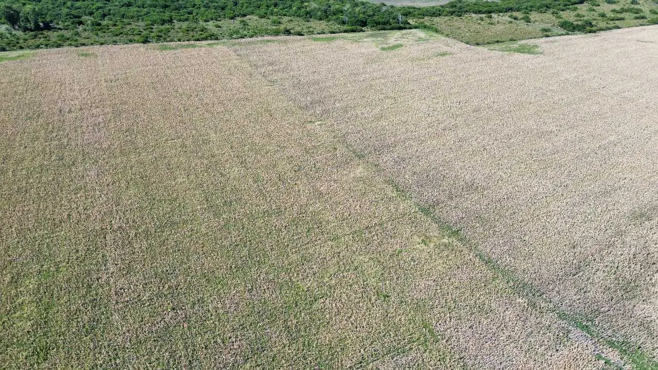 Terreno en venta en Concepción del Uruguay — foto 2