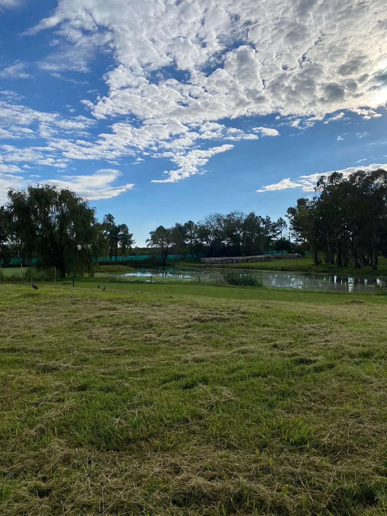 Terreno en venta en Barrio privado, Concepción del Uruguay — foto 10