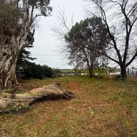 Terreno en venta en Concepción del Uruguay