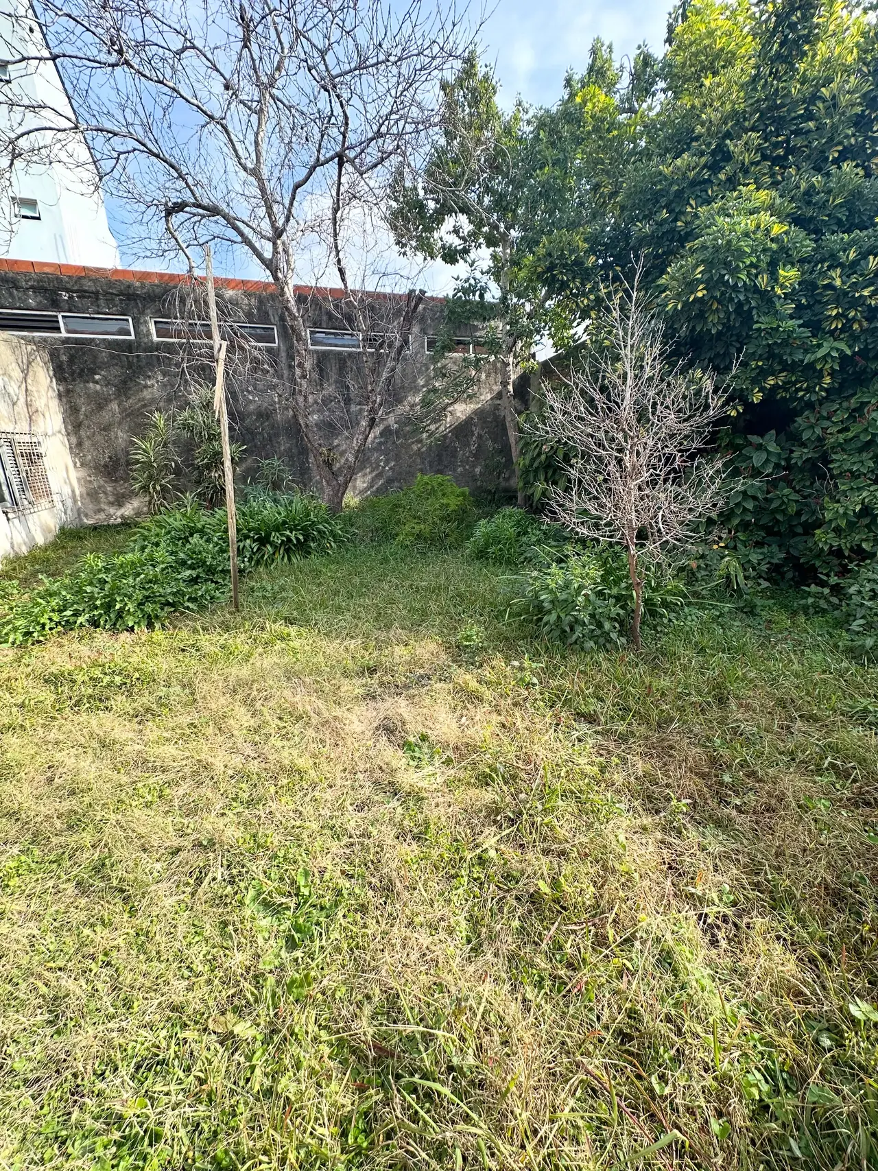Casa de 2 dormitorios en venta en Concepción del Uruguay — foto 7