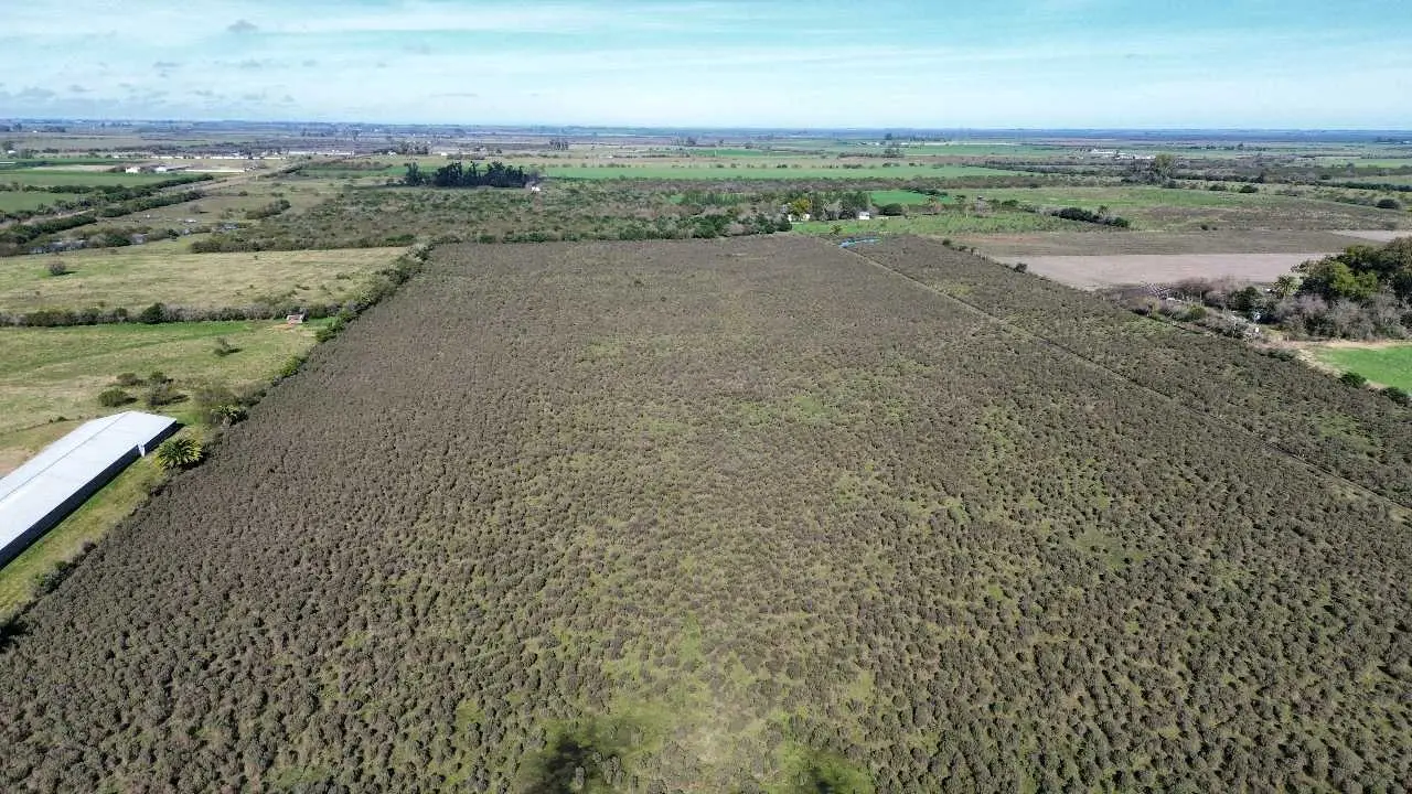 Terreno en venta en Caseros — foto 10