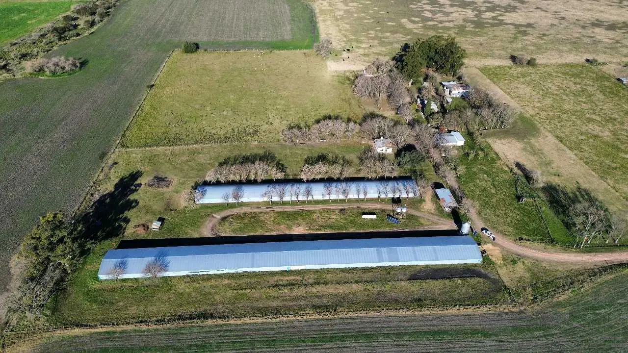 Terreno en venta en Colonia Elía — foto 2