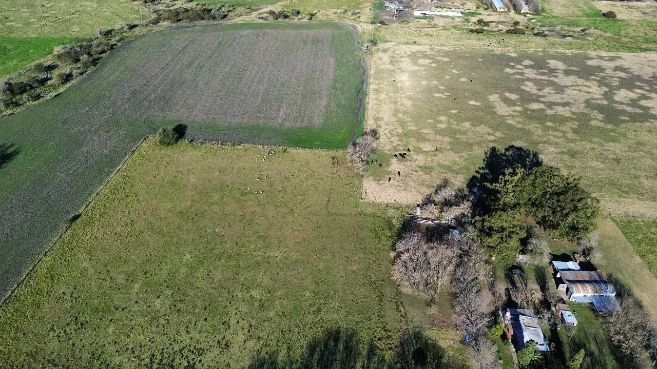 Terreno en venta en Colonia Elía — foto 4