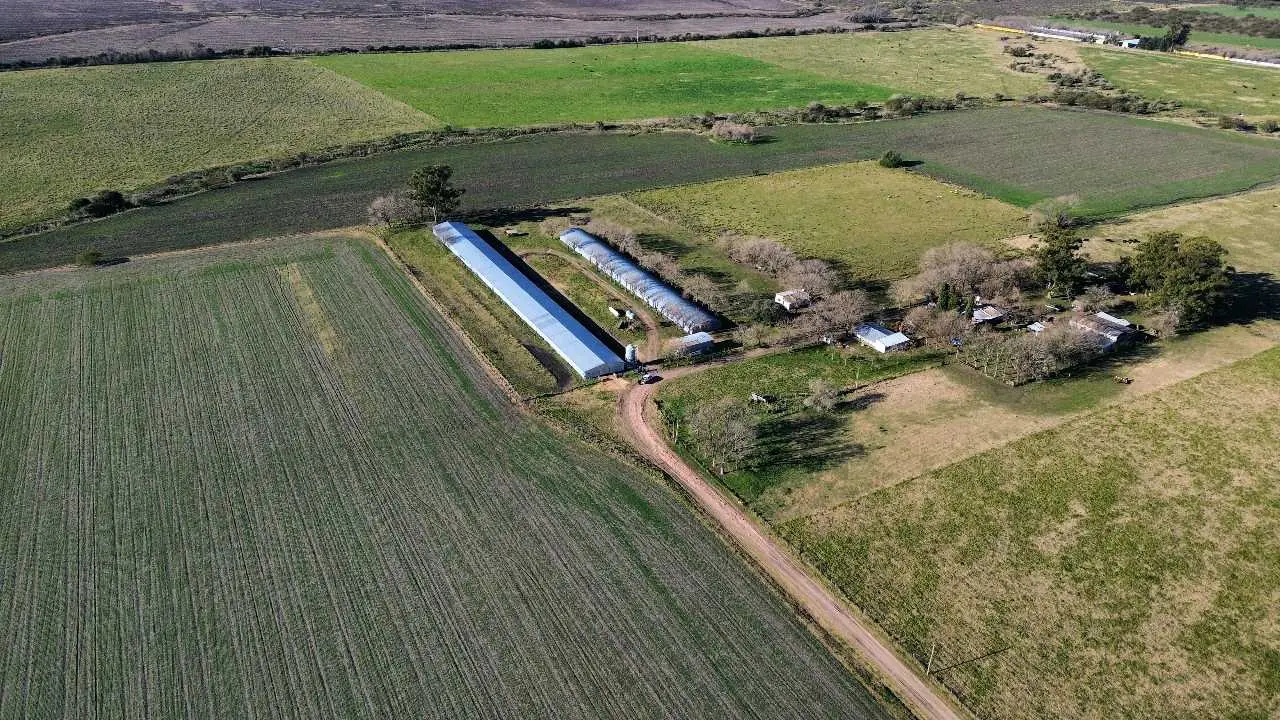 Terreno en venta en Colonia Elía — foto 7