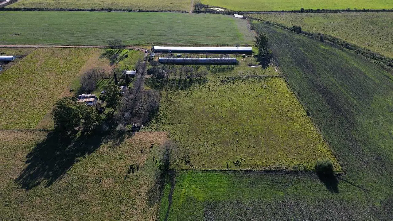 Terreno en venta en Colonia Elía — foto 8