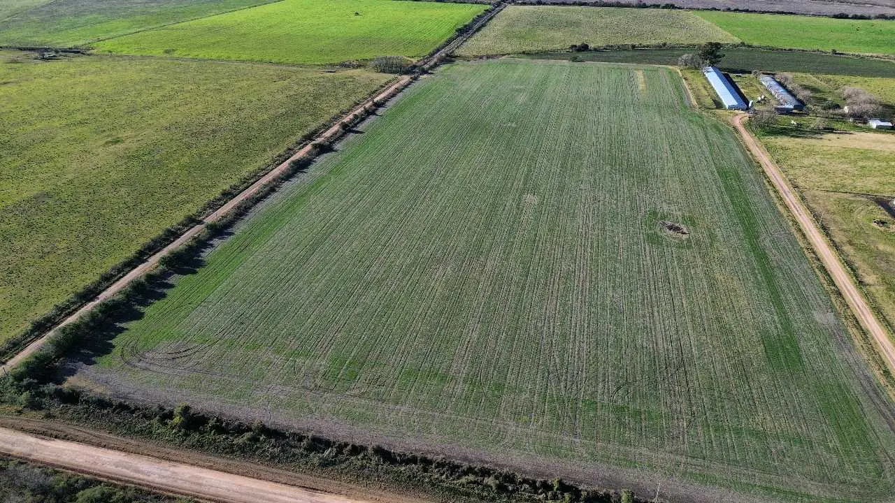 Terreno en venta en Colonia Elía — foto 9