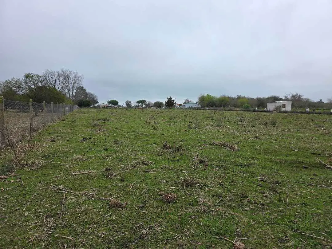 Terreno en venta en Herrera — foto 7