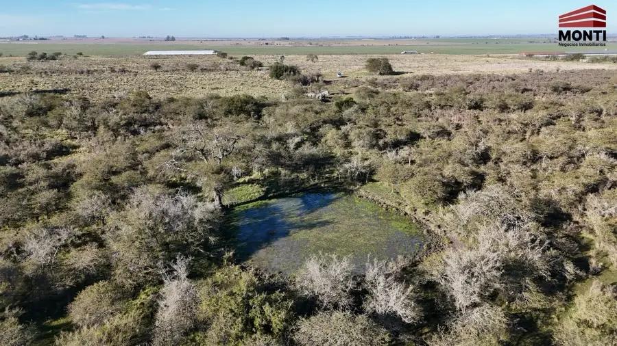 Terreno en venta en Herrera — foto 3