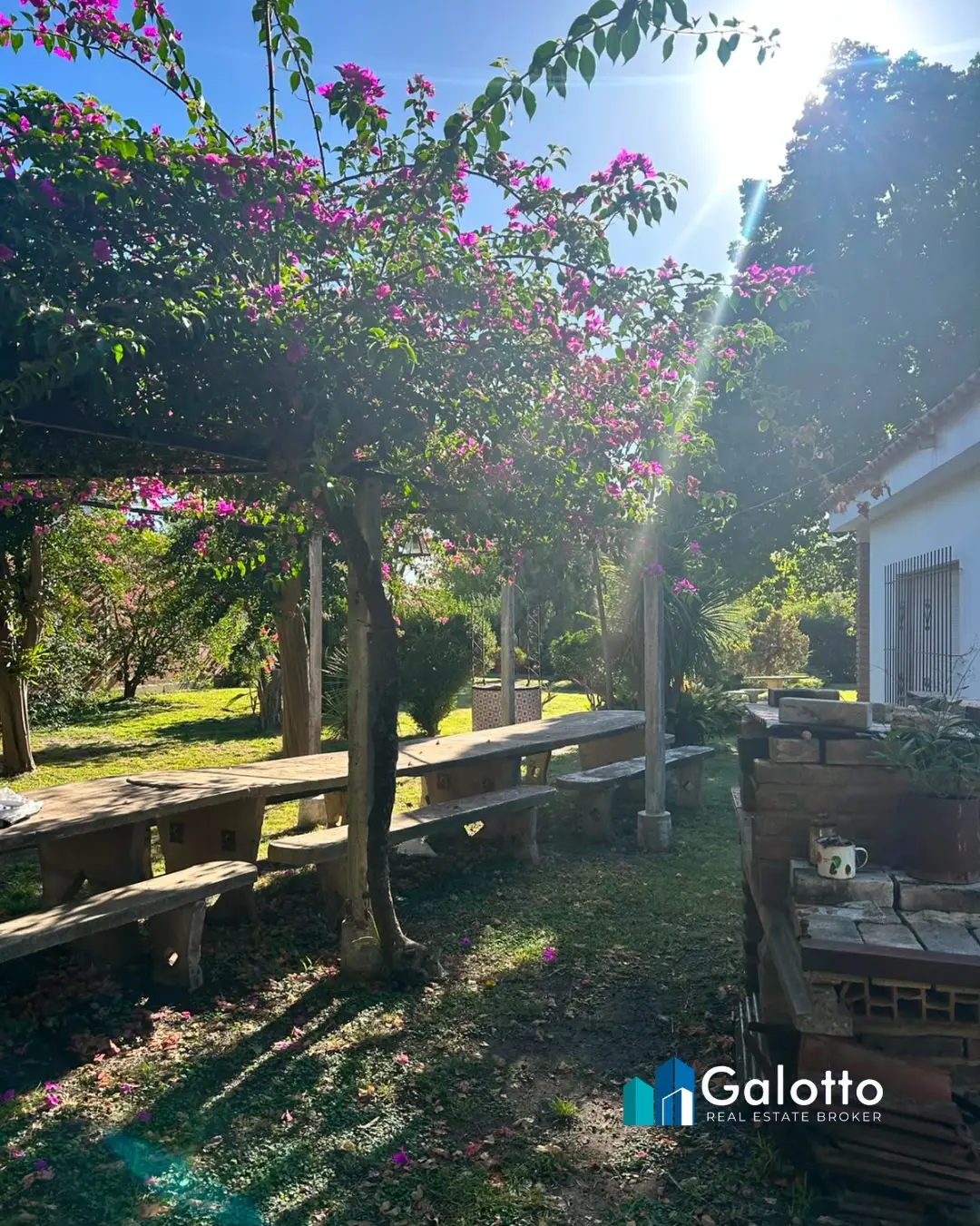 Casa de 2 dormitorios en venta en Zona Colegio / Hospital, Concepción del Uruguay — foto 4