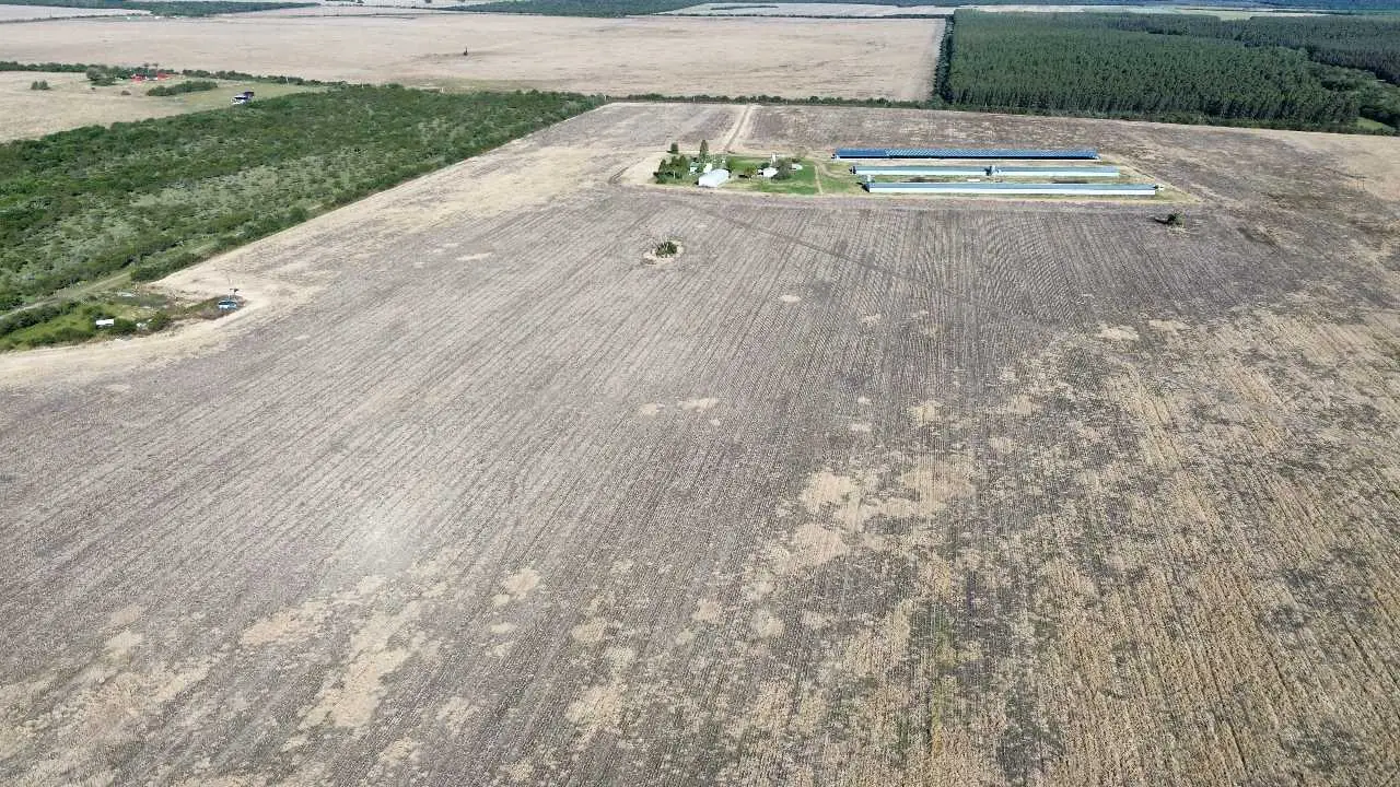 Terreno en venta en Colonia Elía — foto 2