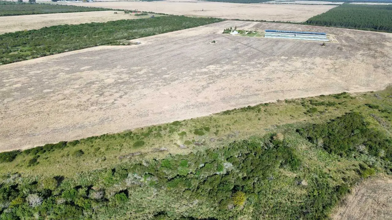 Terreno en venta en Colonia Elía — foto 5