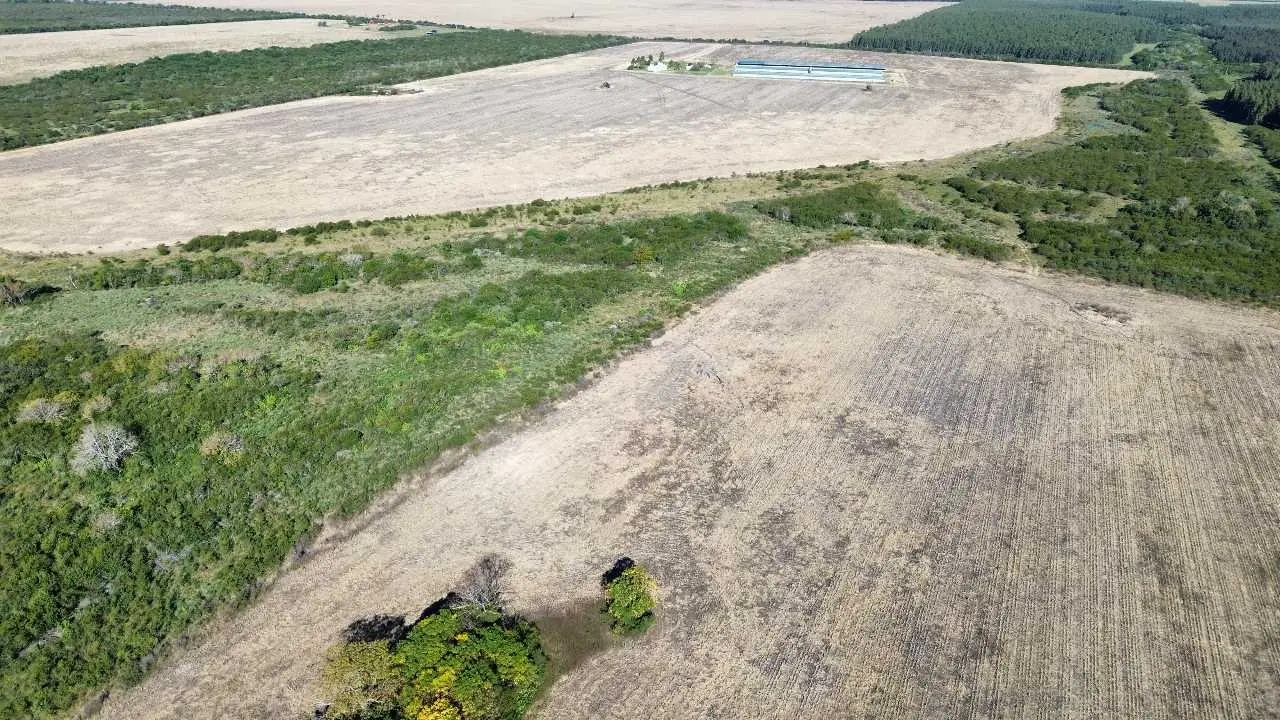 Terreno en venta en Colonia Elía — foto 6