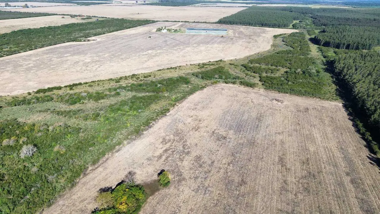 Terreno en venta en Colonia Elía — foto 7