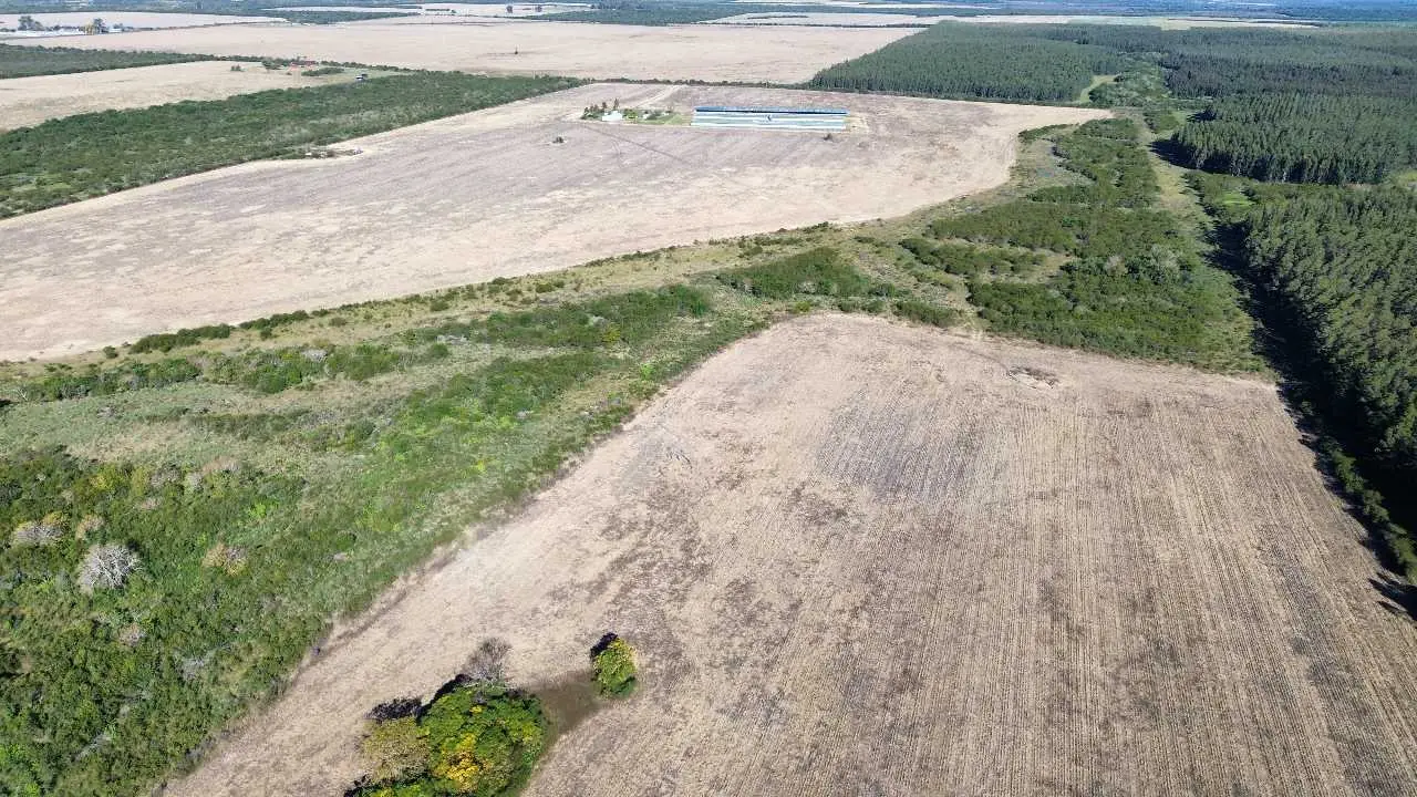 Terreno en venta en Colonia Elía — foto 8