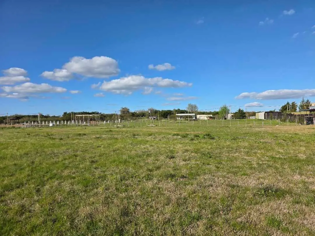 Terreno en venta en Concepción del Uruguay — foto 4