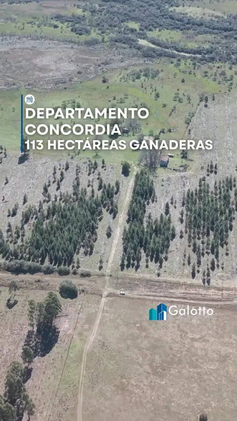 Terreno en venta en Concepción del Uruguay
